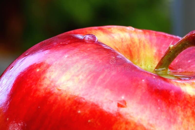 Waterdrops on apple