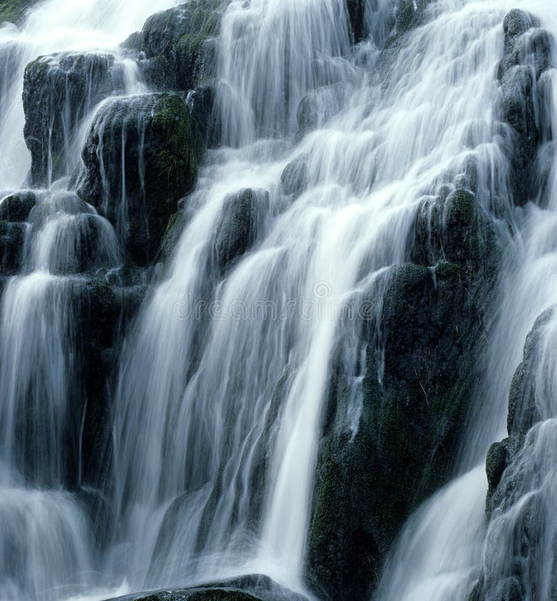 Cascata verticalmente immagine , interessato sul un'isola Scozia più vicino vecchio uomo da.