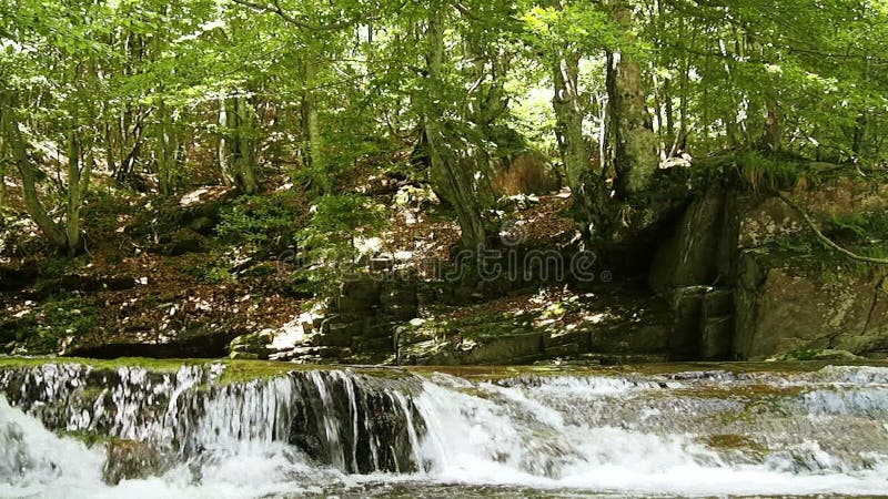 Waterfall in alpine forest