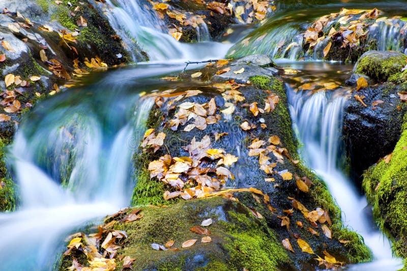 Waterfall in Autumn