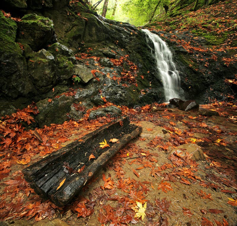 Waterfall in Autumn Forest