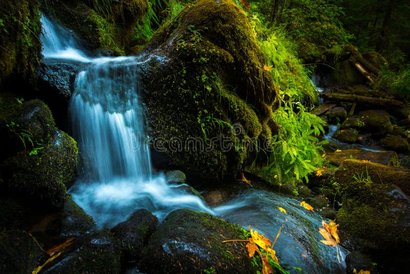 Waterfall Background Oregon Fall Colors Stock Image Image Of