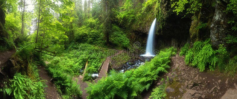 A waterfall with a bridge in deep forest cascades is located in the Columbia River Gorge in Oregon Beautiful waterfall background.