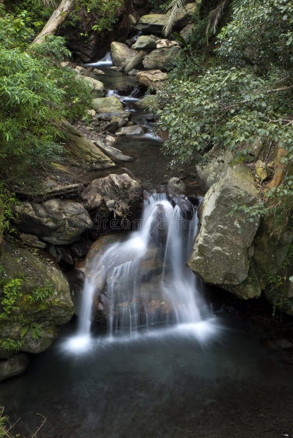Waterfall Brook stock photo. Image of waterfall, green 7880920