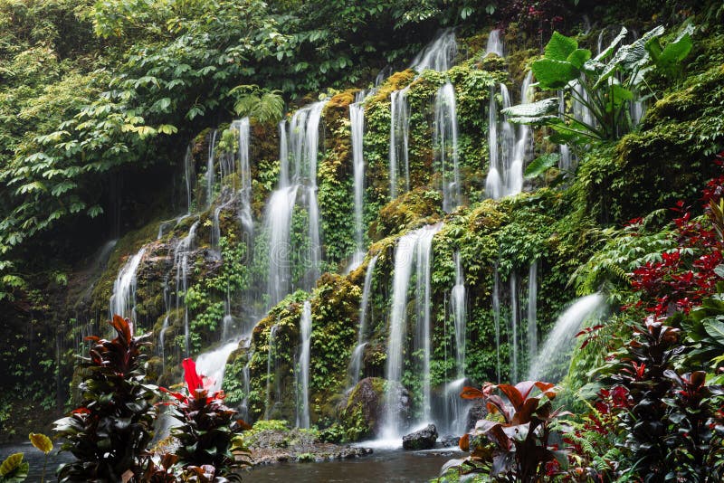 Waterfall cascading over mossy rocks surrounded by jungle foliage stock image