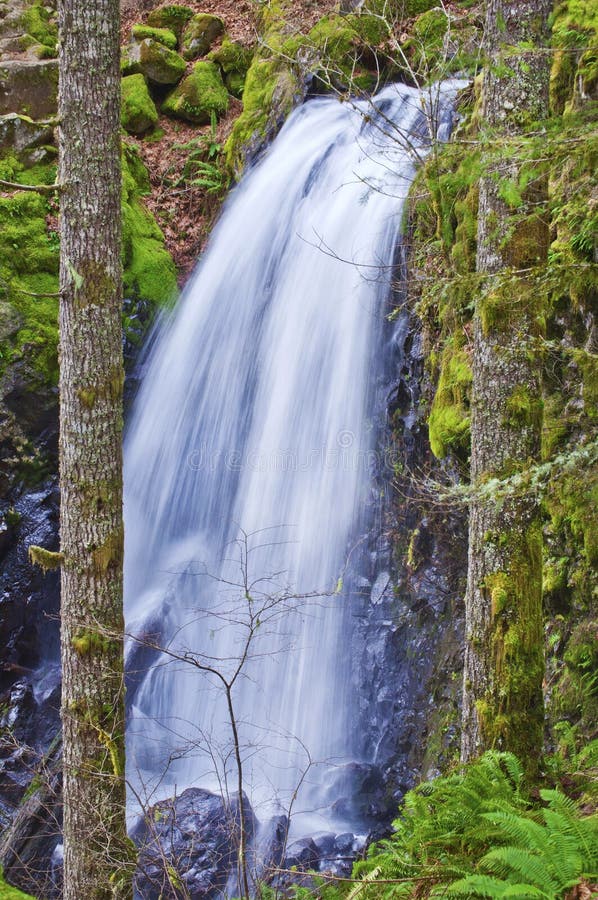 Waterfall cascading on rocks between two trees royalty free stock image