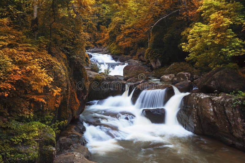 Waterfall in deep forest