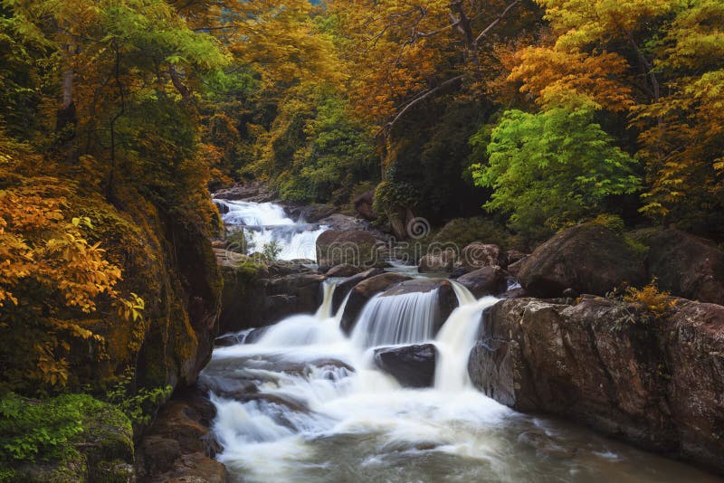 Waterfall in deep forest