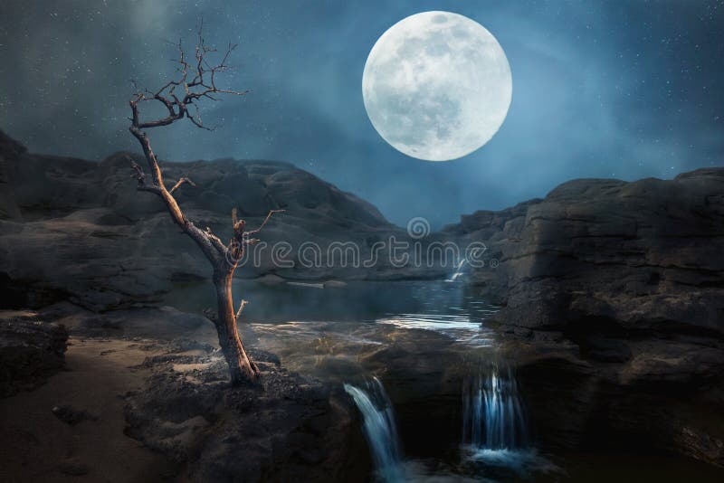 Waterfall with dry tree in night of full moon