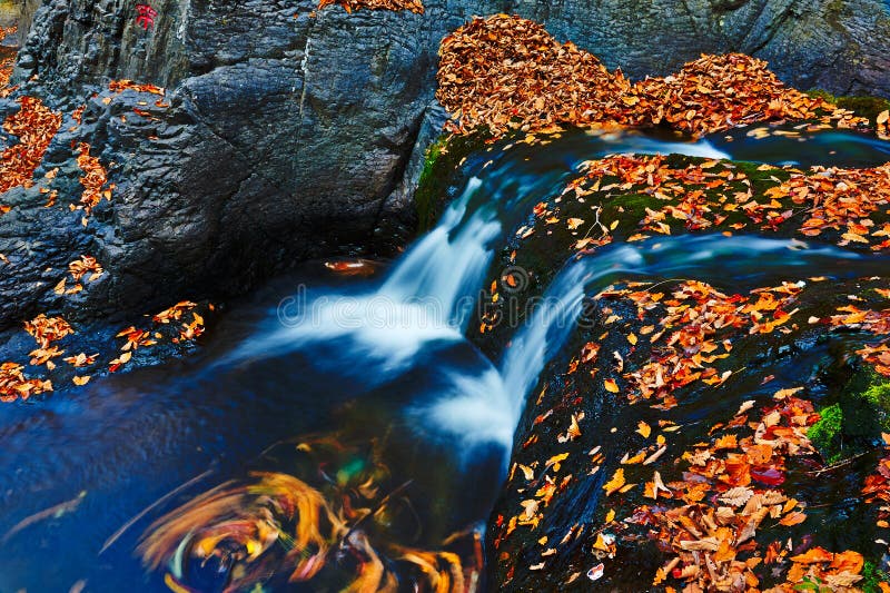 The waterfall and fallen colors leaves