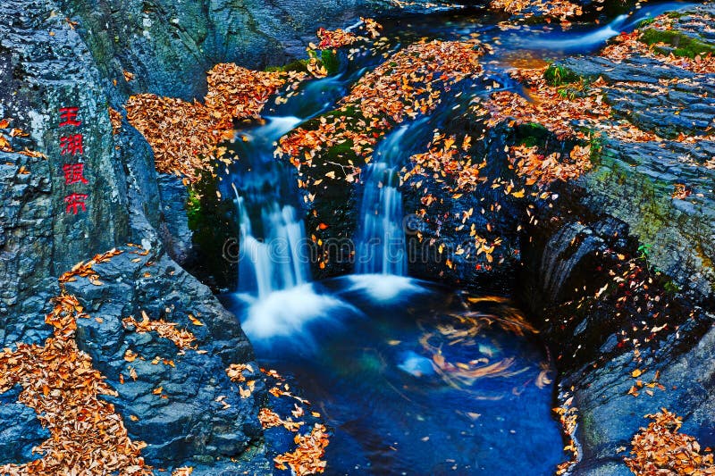 The waterfall and fallen leaves