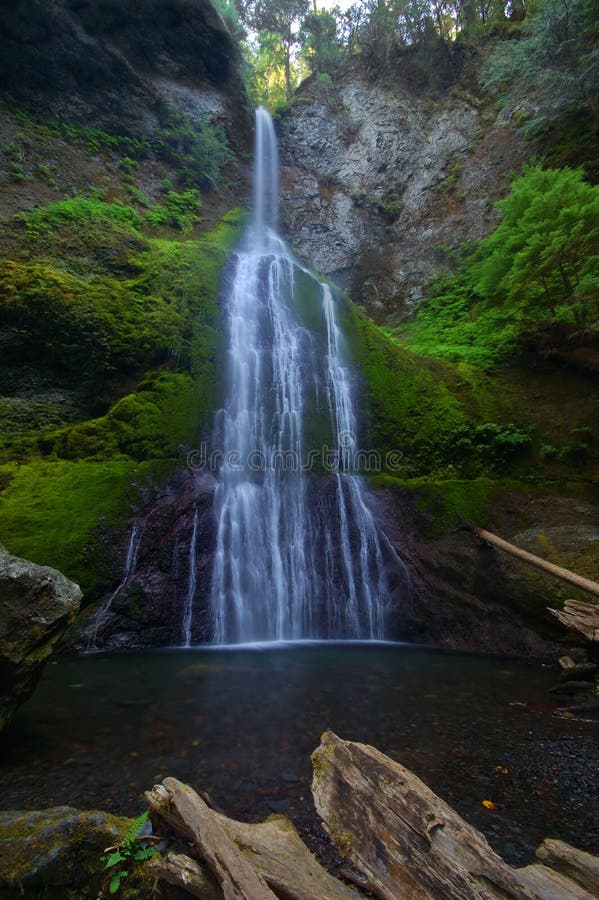 Waterfall in the forest