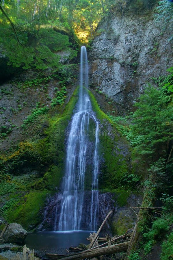 Waterfall in the forest