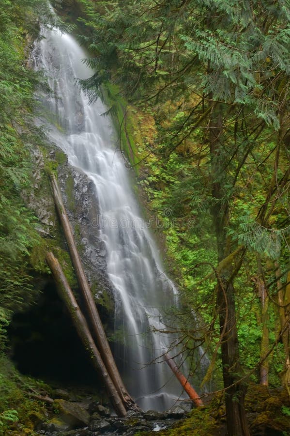 Waterfall in the forest