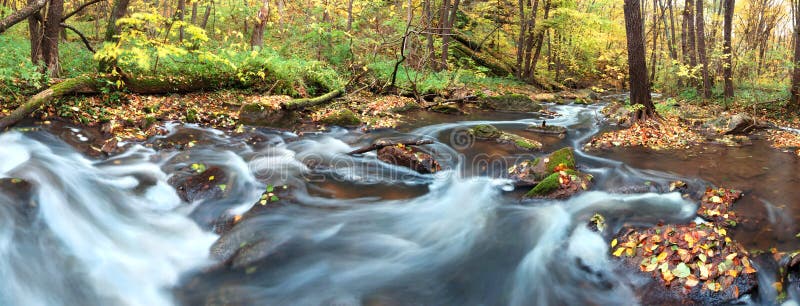 Waterfall in forest