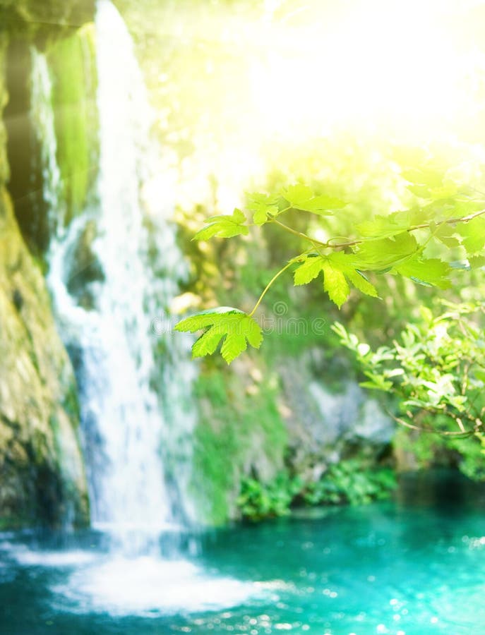 Waterfall in a forest