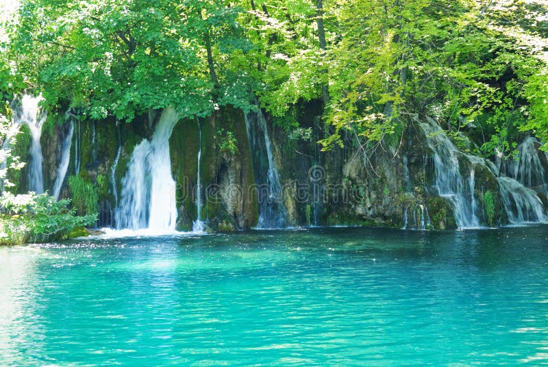 Waterfall in the forest