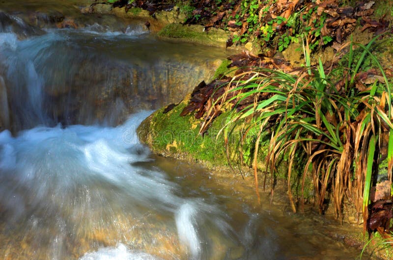 Waterfall and green grass, Sochi, Russia