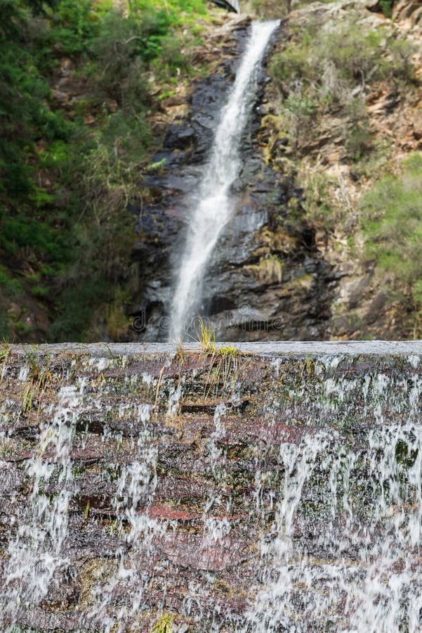 Waterfall Gully