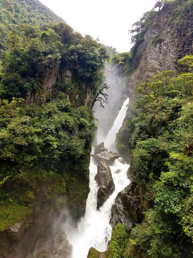 La jungla un rio sur.