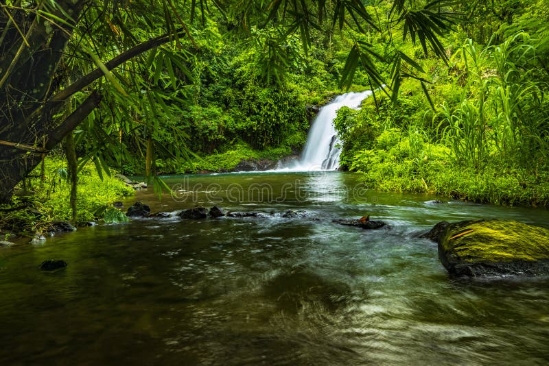 Waterfall landscape. Beautiful hidden Canging waterfall in tropical jungle in Sambangan, Bali. Slow shutter speed, motion