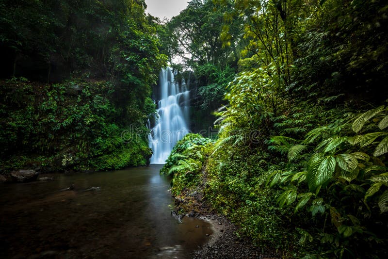 Waterfall landscape. Beautiful hidden Cemara waterfall in tropical rainforest in Sambangan, Bali. Slow shutter speed, motion