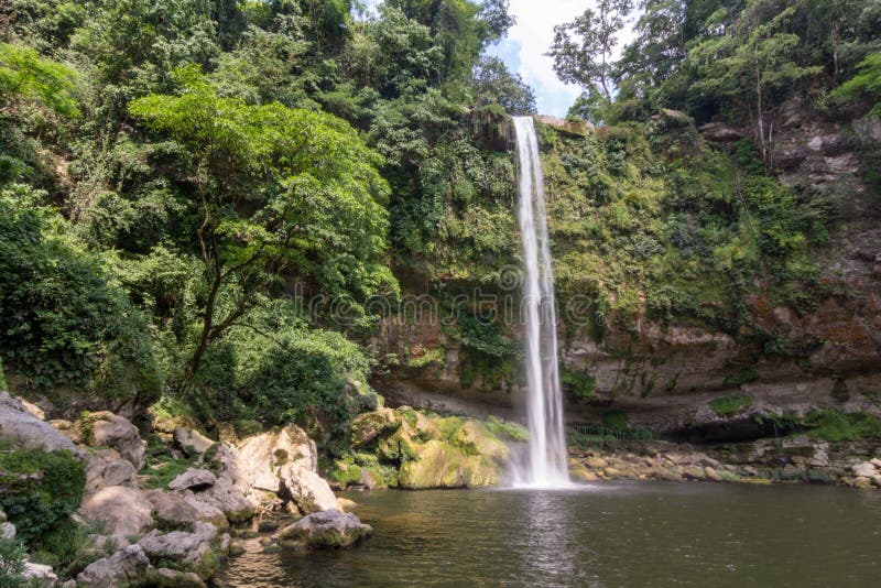 Waterfall misol-ha cascade falls. Hush cataract fallingstream nature forest mexico stock images Waterfall misol-ha cascade falls. Hush cataract fallingstream nature forest mexico stock images