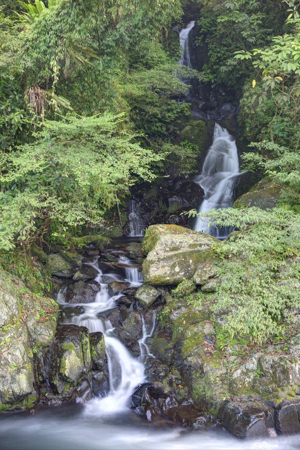 A waterfall in a mysterious forest with sunlight shining through the greenery