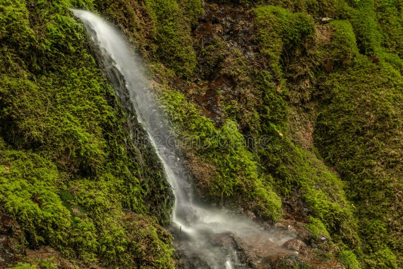 Vodopád u potoka Hrdzava v letním ránu v údolí Hrdzava na Slovensku