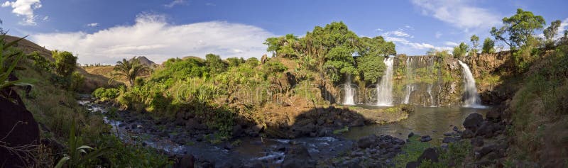 Cascada deslizar lirio,.