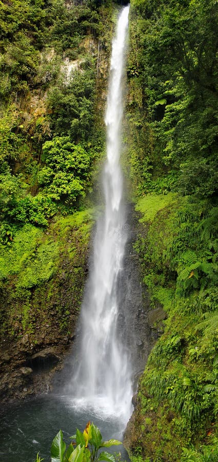 Waterfall in a Rain Forest, Dominica, Caribbean islands