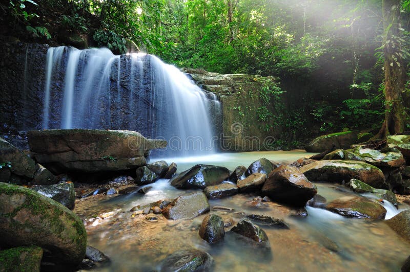 Stream flowing through lush tropical rainforest, Kubah National