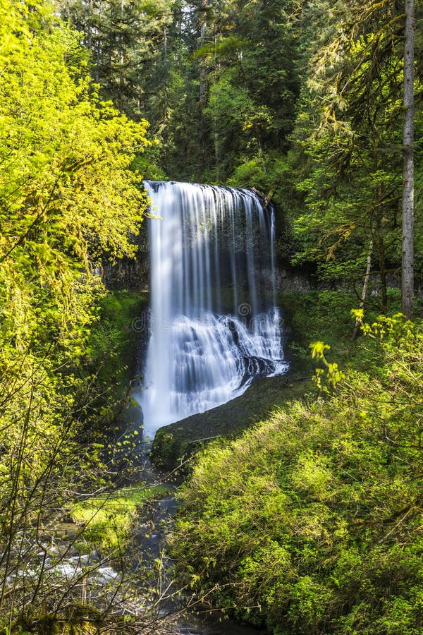 Waterfall Scenery in Silver Falls State Park, Oregon . Stock Image