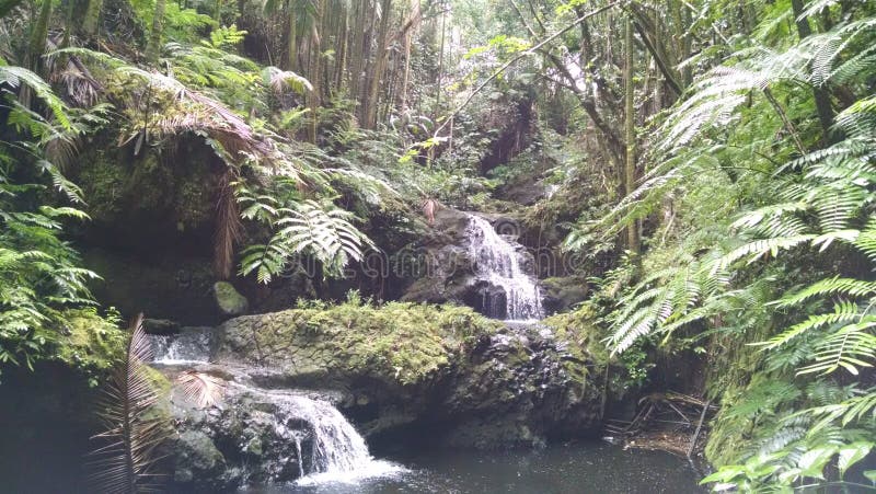 Waterfall Sliding into a River Stock Image - Image of sliding, long ...