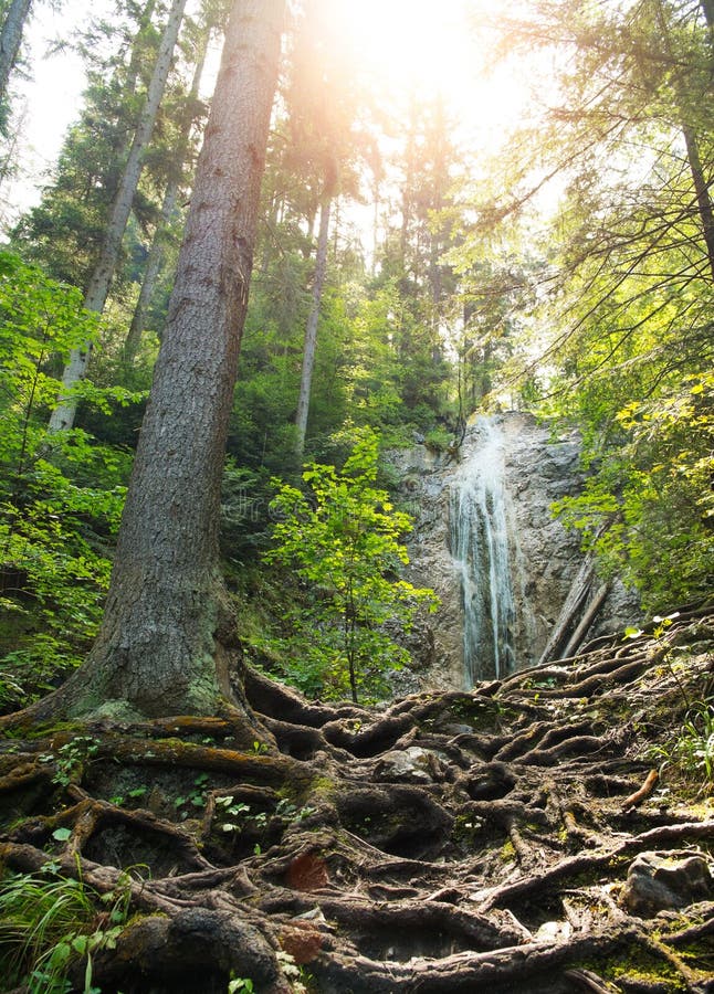 Waterfall in Slovak Paradise