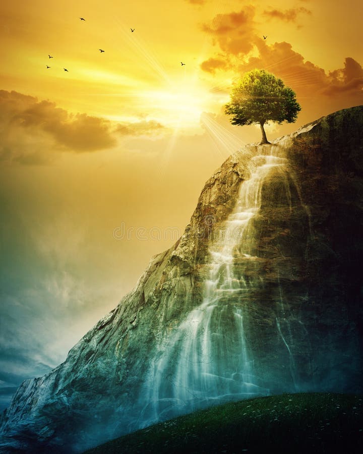 Waterfall tree stock photography