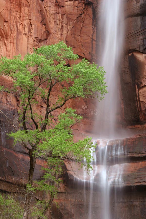 Waterfall at Weeping Rock