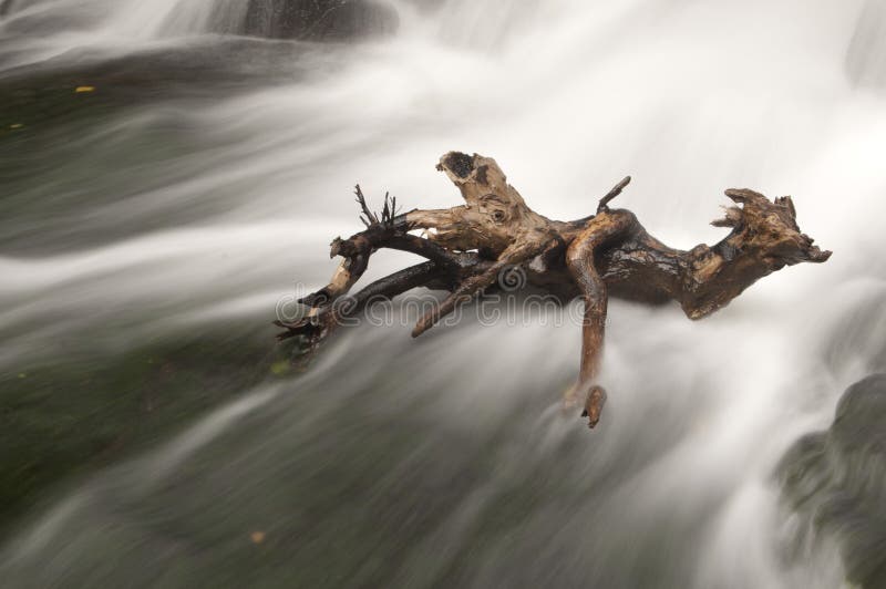 Waterfall with Wood