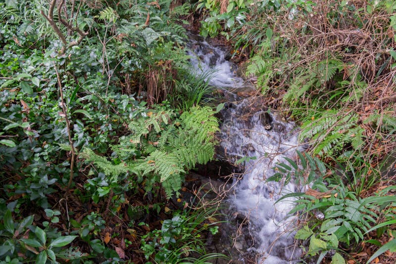 Beautiful Yoro Keikoku Valley Waterfall Under Morning Sun in Chiba