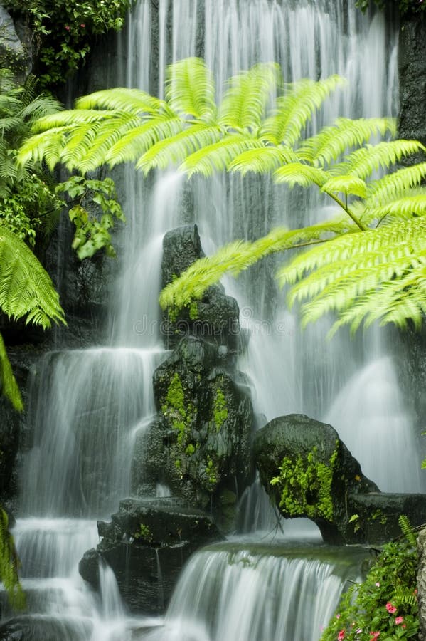 Waterfalls royalty free stock image Waterfalls royalty free stock image
