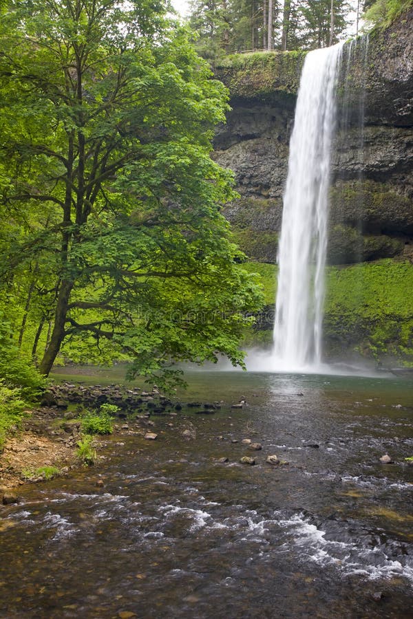 Waterfalls