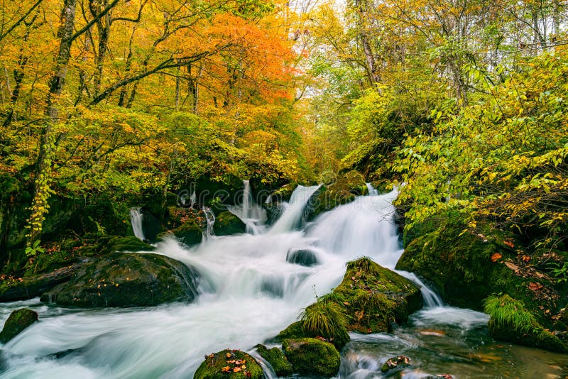 Waterfalls in the Oirase Mountain Stream in Colorful Foliage of Autumn ...