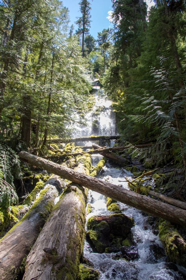 Waterfalls in Oregon