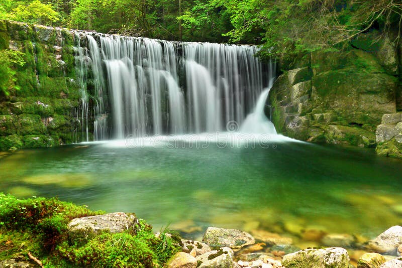Waterfalls湖鲜绿色森林风景