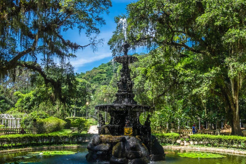PalmeWeg Botanischer Garten Rio De Janeiro, Brasilien Stockfoto