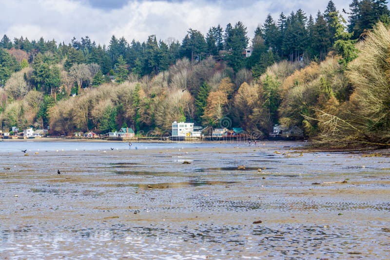 Waterfront Dash Point Homes 3 Stock Photo Image of point, outdoors