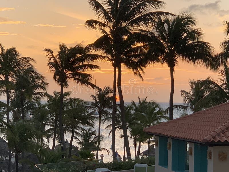 Waterfront View and Sunset in Aruba Stock Image Image of lizard, back