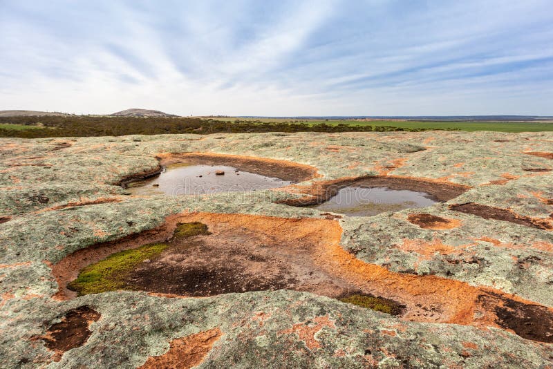 Waterholes full of rain water on top of a granite rock. Aboriginal people relied on rock holes as water sources. Eyre Peninsula