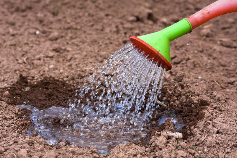 Watering the beds royalty free stock photography Watering the beds royalty free stock photography