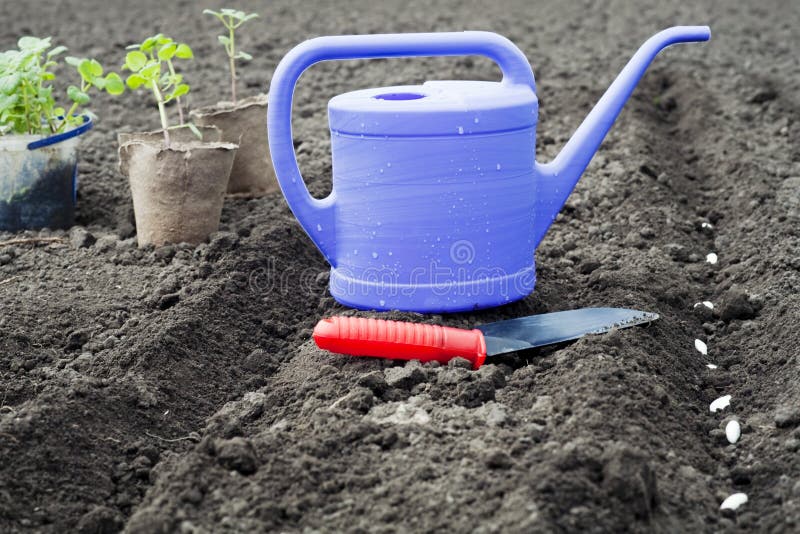 Watering can